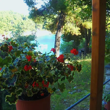 Magdalini 3* Votsi (Alonnisos)